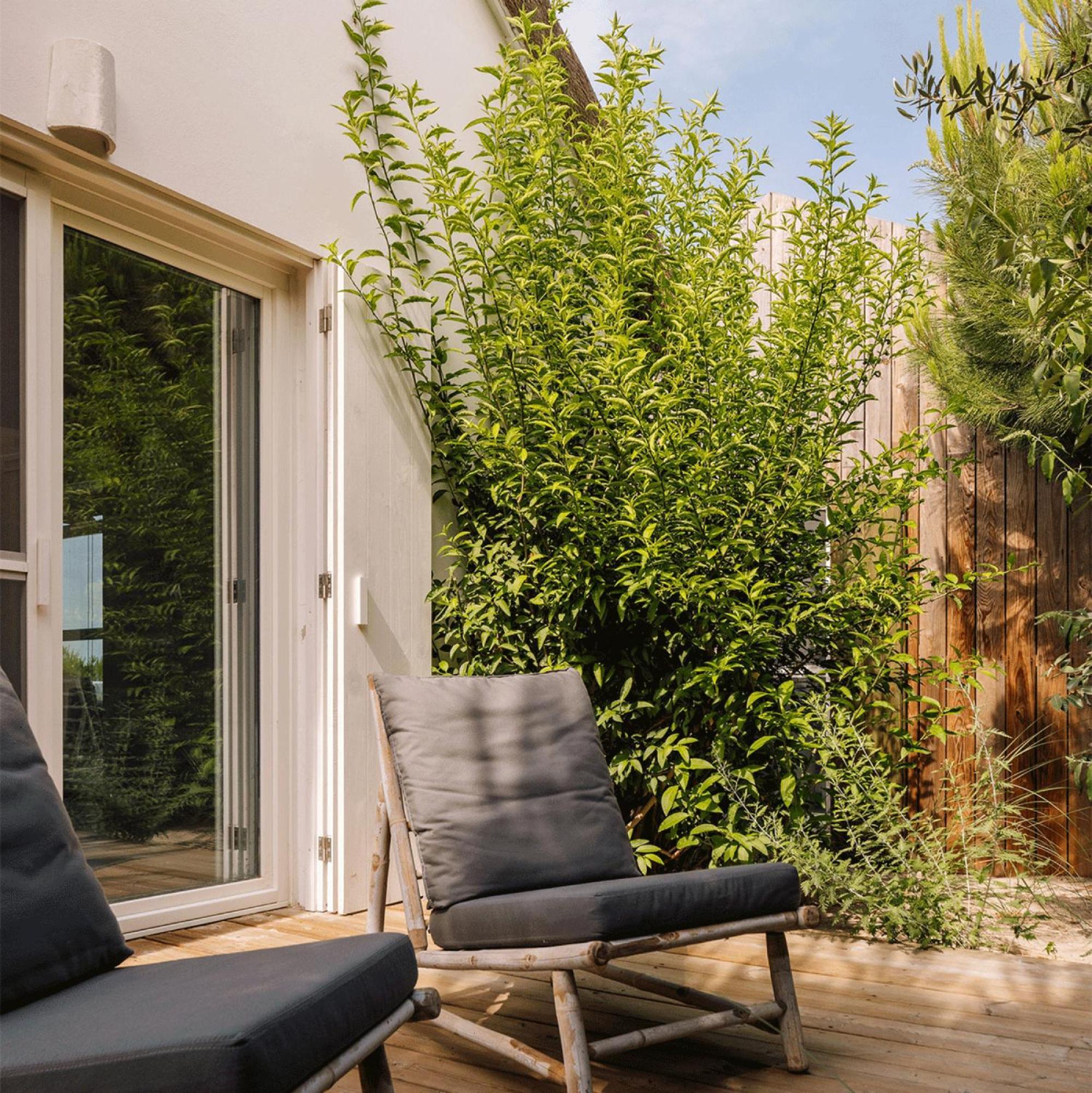 Casas De Arroz Villa Comporta Bagian luar foto